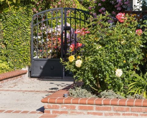 black metal gate near green plants