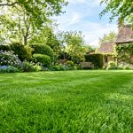 Robotgrasmaaier op klei- en leemgronden